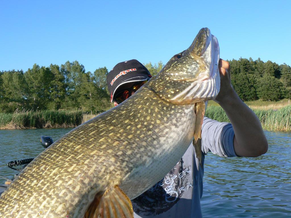 Camping La Motte Flottante La Freissinouse Zewnętrze zdjęcie