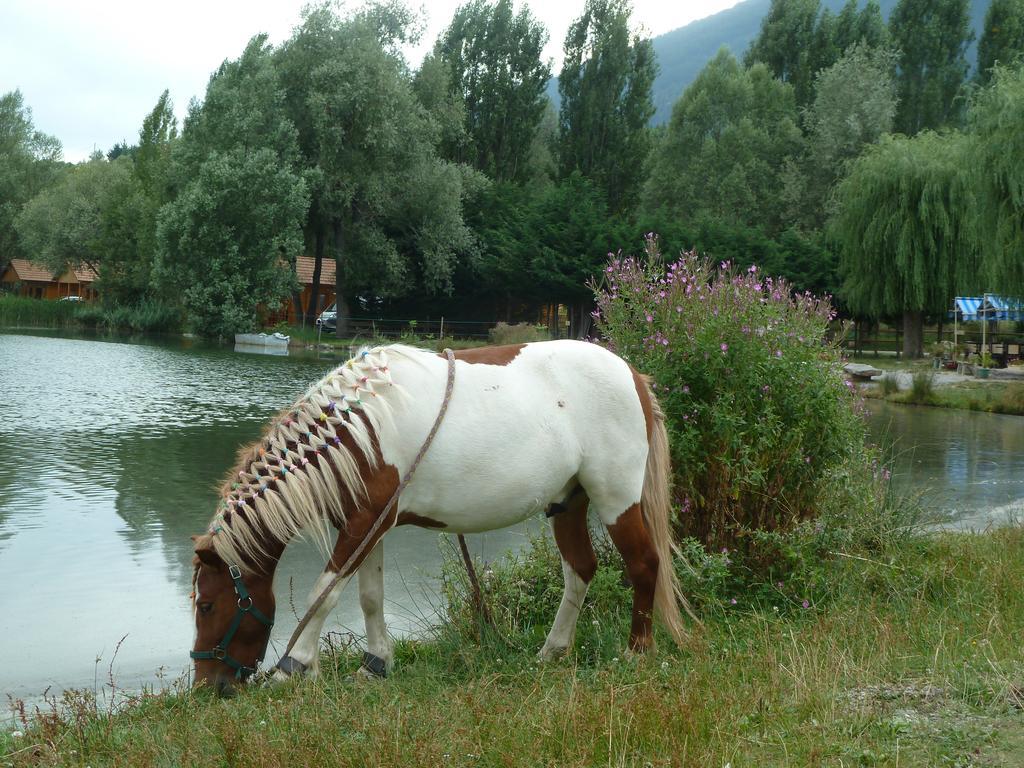 Camping La Motte Flottante La Freissinouse Zewnętrze zdjęcie