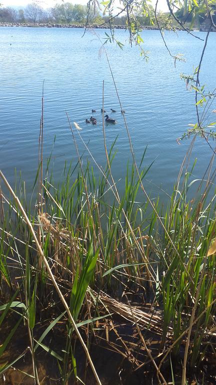Camping La Motte Flottante La Freissinouse Zewnętrze zdjęcie