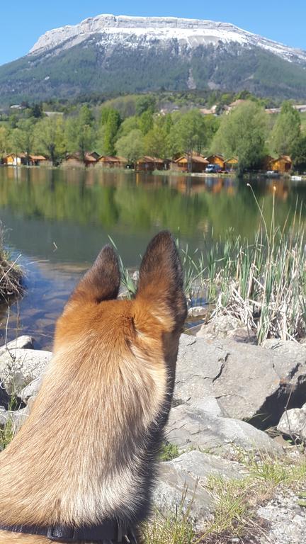 Camping La Motte Flottante La Freissinouse Zewnętrze zdjęcie